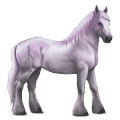 divine horse greyfell   4