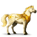 riding horse appaloosa chestnut leopard 