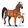 riding horse appaloosa chestnut spotted blanket 