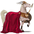 riding horse appaloosa chestnut blanket 