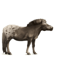 riding unicorn palomino overo