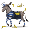 wandering horse banana peel