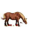 riding horse camargue dapple grey