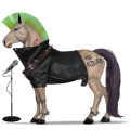 pony fjord brunblakk