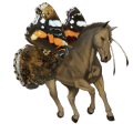 riding horse thoroughbred dark bay