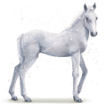 water horse snowflake