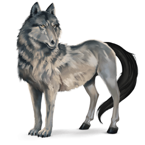 chimerique-loup