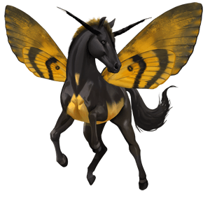 riding horse kwpn dapple grey