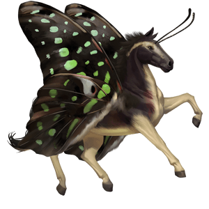 riding horse kwpn light grey