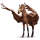 bird wandering horse aquila