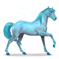 horse of the rainbow lovely blue