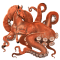wild horse giant octopus