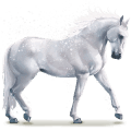 water horse snowflake