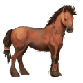 riding horse hanoverian mouse grey